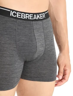 Men's Merino 150 Anatomica Boxers-Icebreaker Sale
