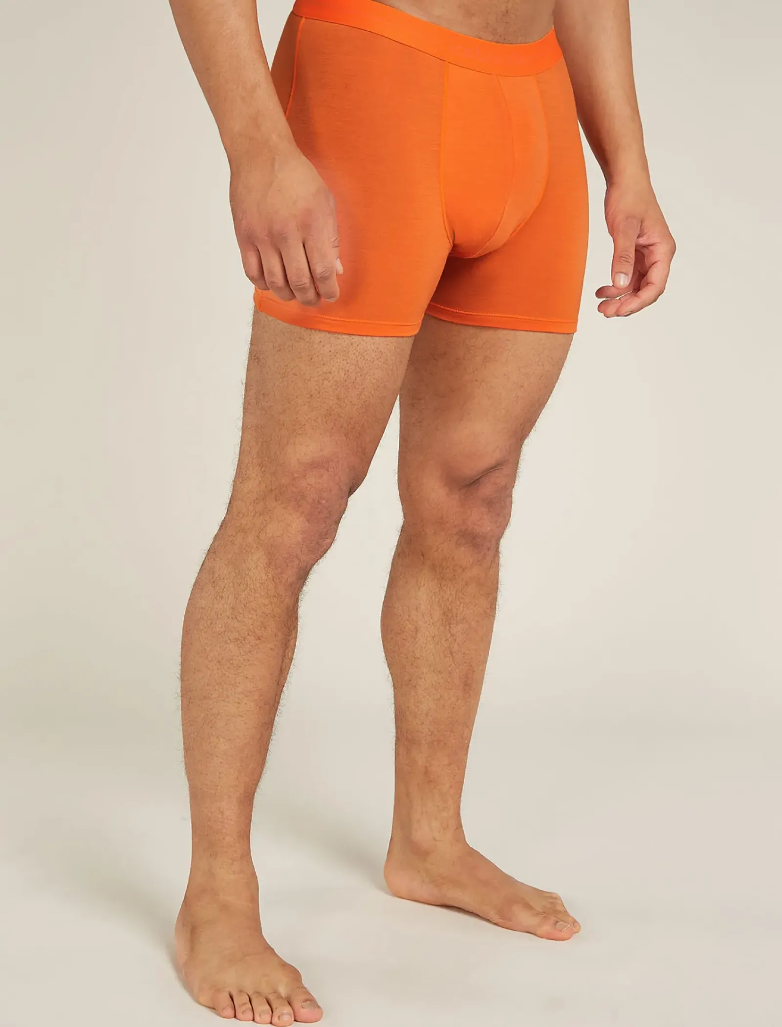 Men's Merino 150 Anatomica Boxers-Icebreaker Clearance