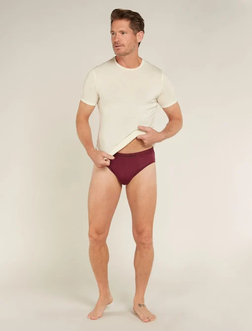 Icebreaker Men's Merino 150 Anatomica Briefs Port Best Sale