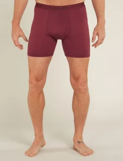 Icebreaker Men's Merino 150 Anatomica Long Boxers Port Shop