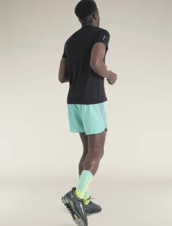 Icebreaker Men's Merino Blend 125 Cool-Lite™ Speed Short Sleeve T-Shirt Black Best Sale