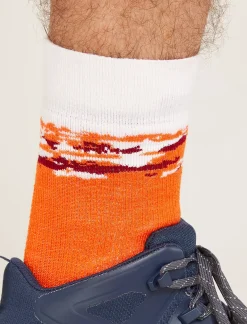 Men's Merino Hike+ Medium Crew Sedimentary Socks-Icebreaker Outlet