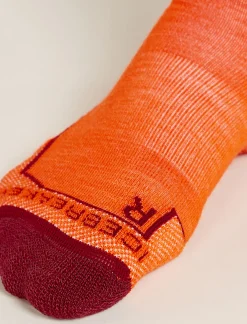 Men's Merino Hike+ Medium Crew Sedimentary Socks-Icebreaker Outlet