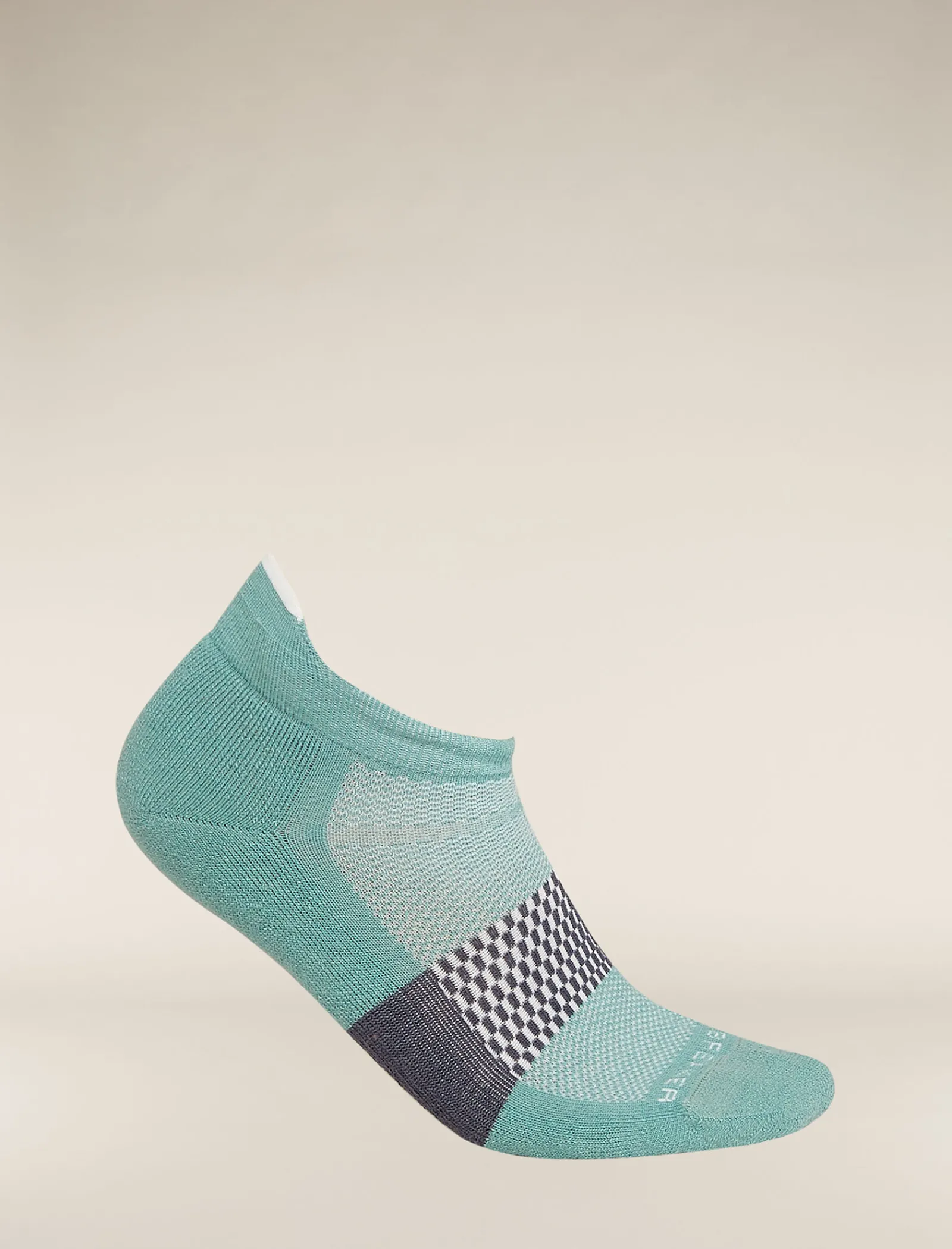 Icebreaker Men's Merino Multisport Light Micro Socks CloudRay/Snow Shop